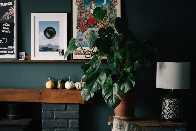 Incorporate Nature into Your Home with Eco-Friendly Decor